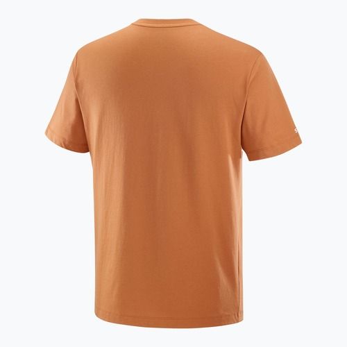 Футболка чоловіча Salomon Logo Tee sierra