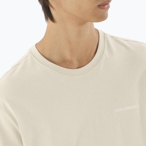 Футболка чоловіча Salomon Logo Tee rainy day