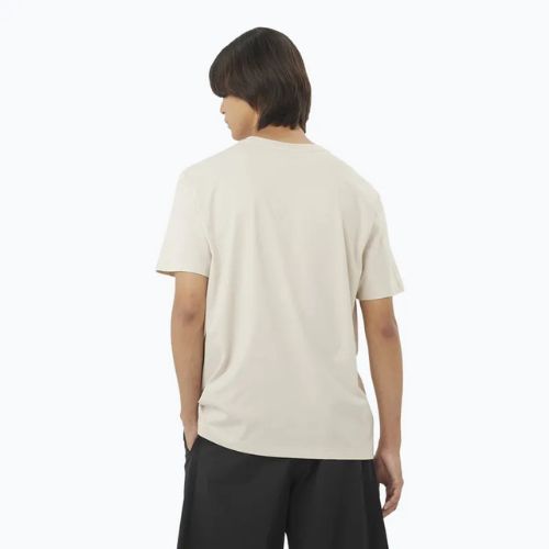 Футболка чоловіча Salomon Logo Tee rainy day