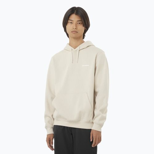 Кофта чоловіча Salomon Logo Hoodie rainy day