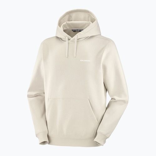 Кофта чоловіча Salomon Logo Hoodie rainy day