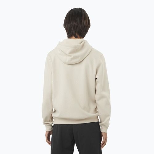 Кофта чоловіча Salomon Logo Hoodie rainy day