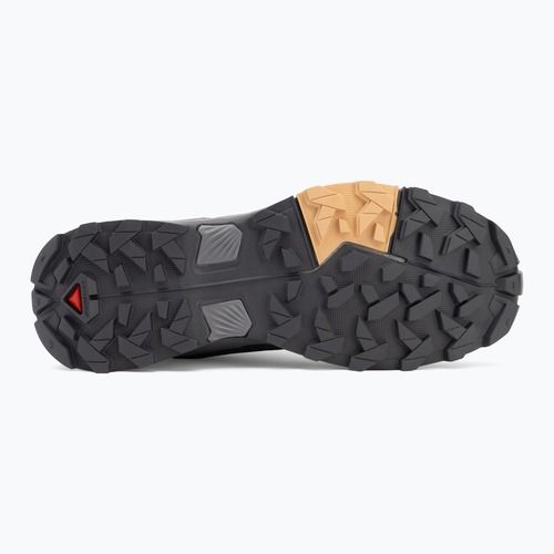 Жіночі трекінгові черевики Salomon X ULTRA 5 GTX сливовий кошеня / дев'ятка залізо / м'яка глина