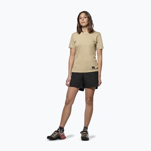 Жіноча футболка Salewa Eagle Sunset Loose з вільним кроєм для пливунів