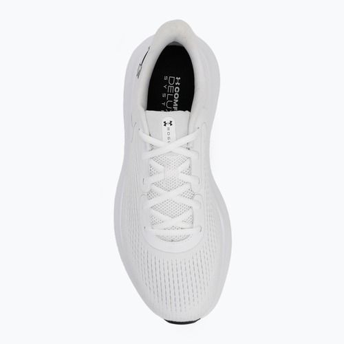 Кросівки для бігу чоловічі Under Armour Charged Rogue 5 white/white/black