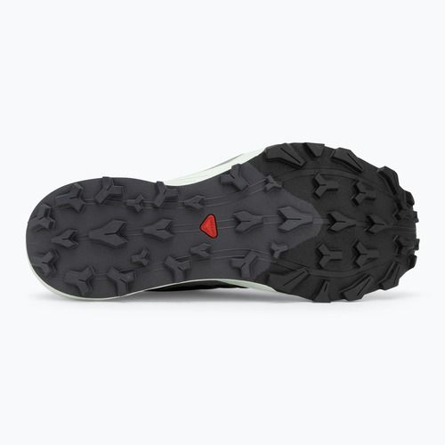 Кросівки для бігу чоловічі Salomon Thundercross asphalt/sharkskin/spray