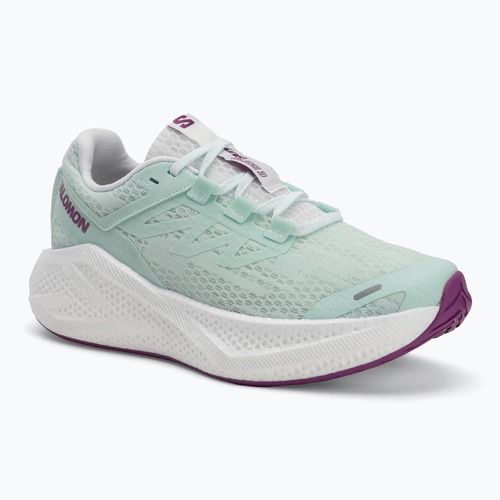 Кросівки для бігу жіночі Salomon Aero Glide 3 bay/white/wilowherb