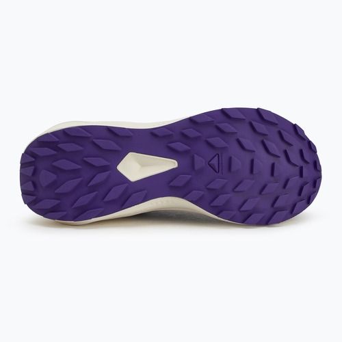 Кросівки для бігу жіночі Salomon Alphaglide phantom/vanilla ice/liberty