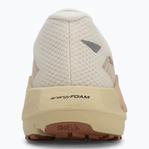 Кросівки для бігу чоловічі Salomon Drx Defy GRVL vanilla ice/green haze/white pepper