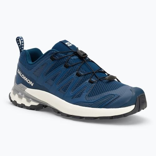 Кросівки для бігу чоловічі Salomon XA Pro 3D V9 poseidon/icicle/alloy