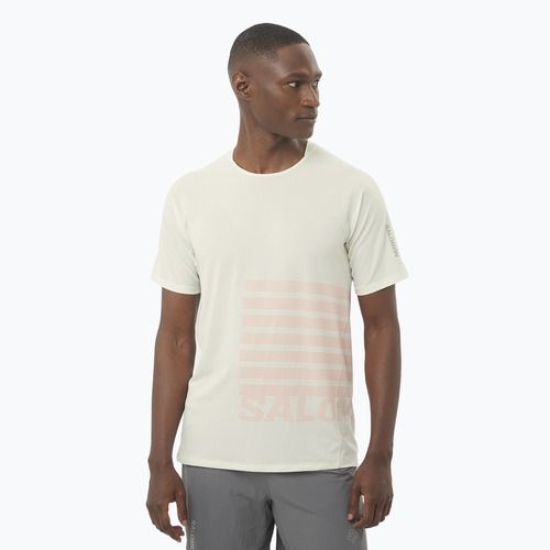 Футболка для бігу чоловіча Salomon Sense Aero Tee GFX icicle/neon flame