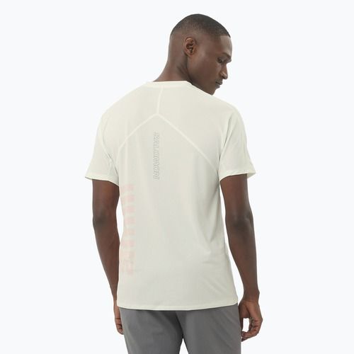 Футболка для бігу чоловіча Salomon Sense Aero Tee GFX icicle/neon flame