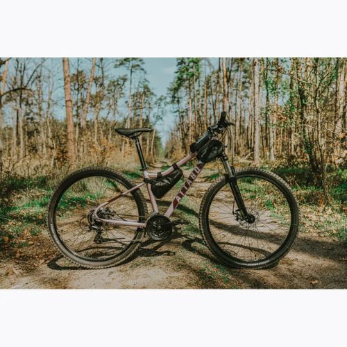 Велосипед гірський жіночий ATTABO ALPE 2.0 29" рожевий