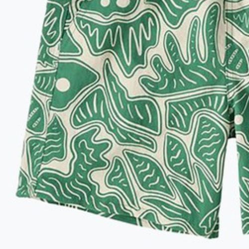 Шорти жіночі Patagonia Baggies 5" bees and flowers/heartleaf green