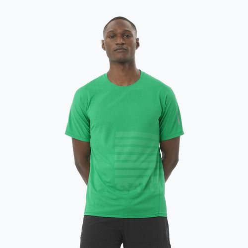 Футболка для бігу чоловіча Salomon Sense Aero Tee GFX parakeet / spearmintme