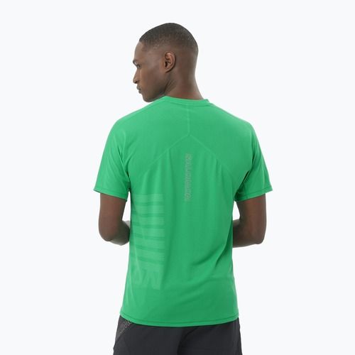 Футболка для бігу чоловіча Salomon Sense Aero Tee GFX parakeet / spearmintme