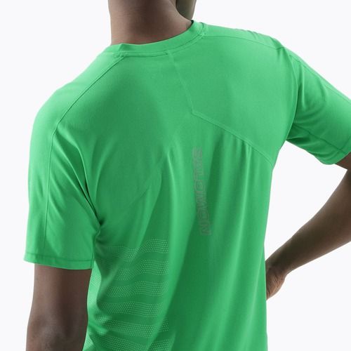 Футболка для бігу чоловіча Salomon Sense Aero Tee GFX parakeet / spearmintme