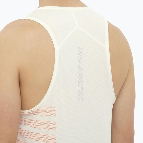 Топ для бігу чоловічий Salomon Sense Aero Singlet GFX icicle