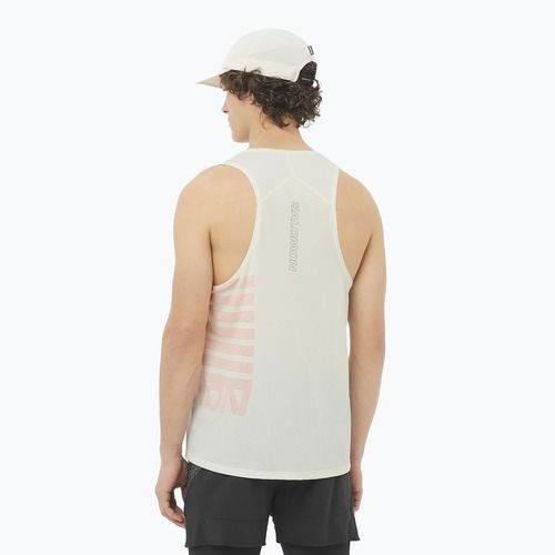 Топ для бігу чоловічий Salomon Sense Aero Singlet GFX icicle
