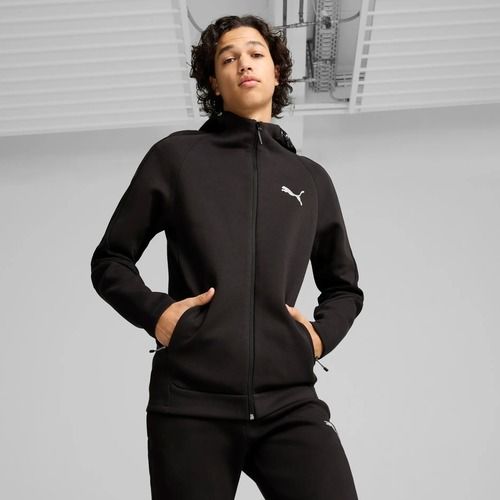 Кофта чоловіча PUMA Evostripe Hoodie FZ DK puma black