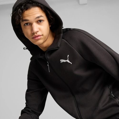 Кофта чоловіча PUMA Evostripe Hoodie FZ DK puma black