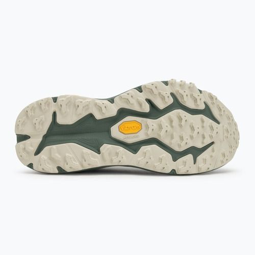Кросівки для бігу чоловічі HOKA Speedgoat 6 GTX sea flass/fern