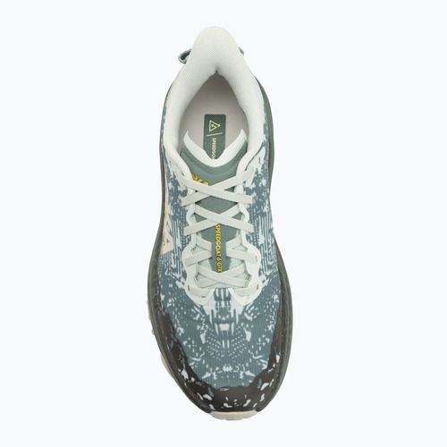 Кросівки для бігу чоловічі HOKA Speedgoat 6 GTX sea flass/fern