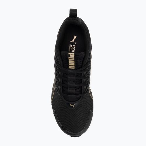 Кросівки для бігу жіночі PUMA MagMax Nitro puma black/puma gold