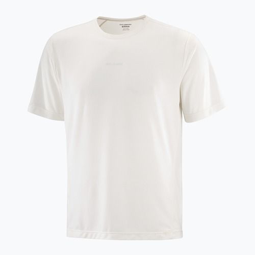 Футболка чоловіча Salomon Shakeout Core  whisper white
