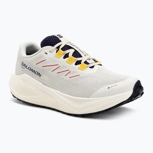 Кросівки для бігу чоловічі Salomon Aero Blaze 3 Gravel GTX vanilla ice/astral aura/lemon