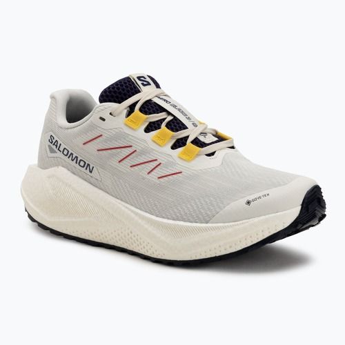Кросівки для бігу жіночі Salomon Aero Blaze 3 Gravel GTX vanilla ice/astral aura/lemon