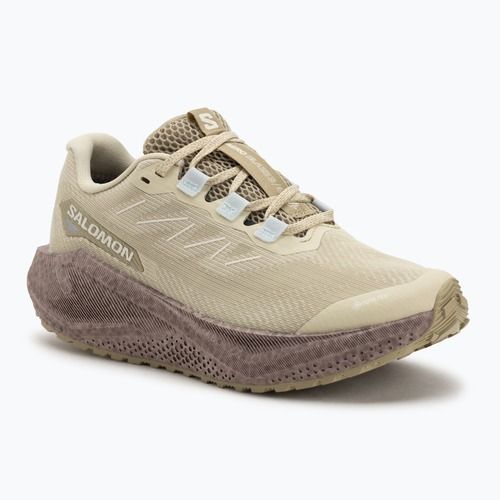 Кросівки для бігу жіночі Salomon Aero Blaze 3 Gravel GTX green haze/iron/ice flow