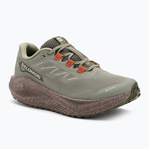 Кросівки для бігу чоловічі Salomon Aero Blaze 3 Gravel GTX tea/iron/burnt ochre