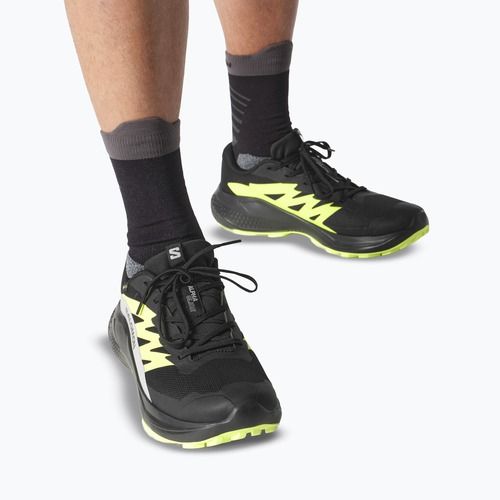 Кросівки для бігу чоловічі Salomon Alphaglide GTX black/alloy/sharp green