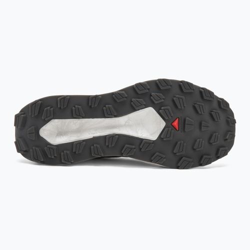 Кросівки для бігу чоловічі Salomon Vision vanilla ice/lunar/rock/black