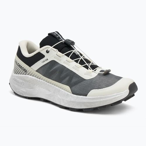 Кросівки для бігу чоловічі Salomon Vision vanilla ice/lunar/rock/black