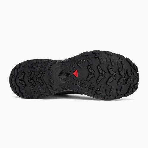 Кросівки для бігу жіноче Salomon XA Pro 3D V9 black/gull/excalibur