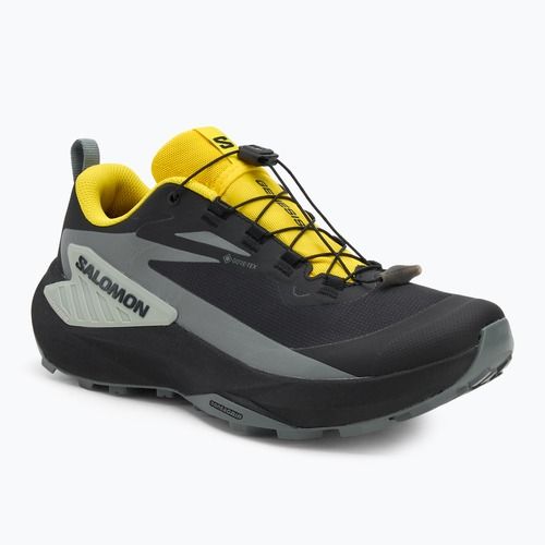 Кросівки для бігу чоловічі Salomon Genesis GTX black/sedona sage/incaberry