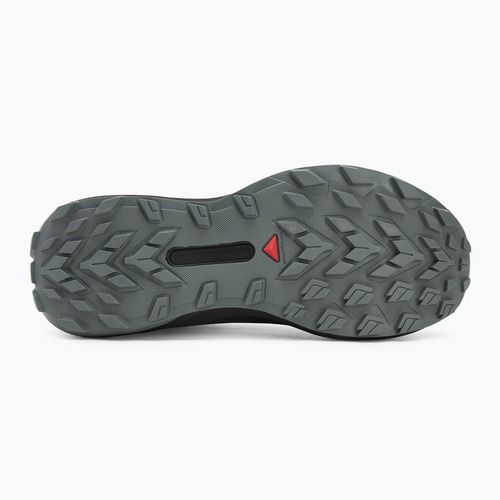 Кросівки для бігу чоловічі Salomon Genesis GTX black/sedona sage/incaberry