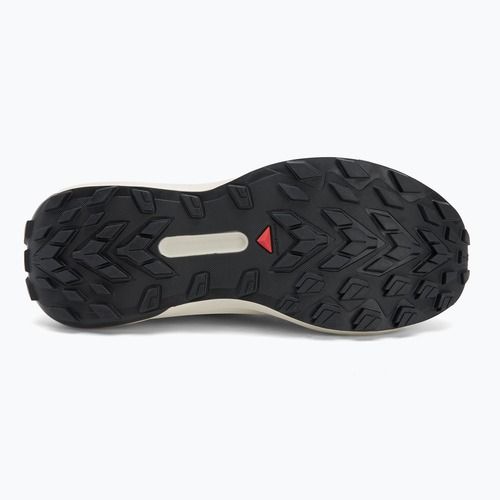Кросівки для бігу чоловічі Salomon Genesis GTX black/lunar rock/french blue