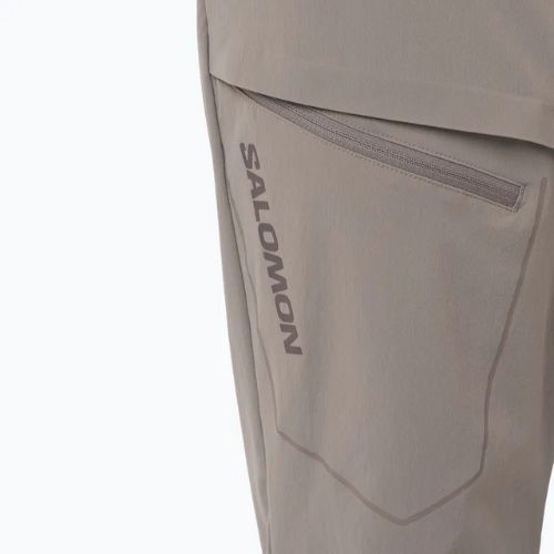 Штани трекінгові чоловічі Salomon Wayfarer iron