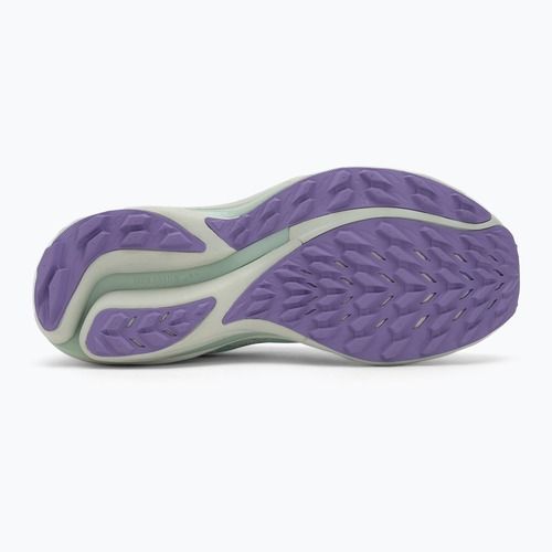 Кросівки для бігу жіночі Mizuno Wave Rider TT 2 bay/hint of mint/paisley purple