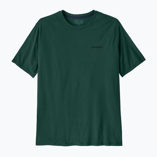 Футболка чоловіча Patagonia P-6 Logo Responsibili-Tee cascade green