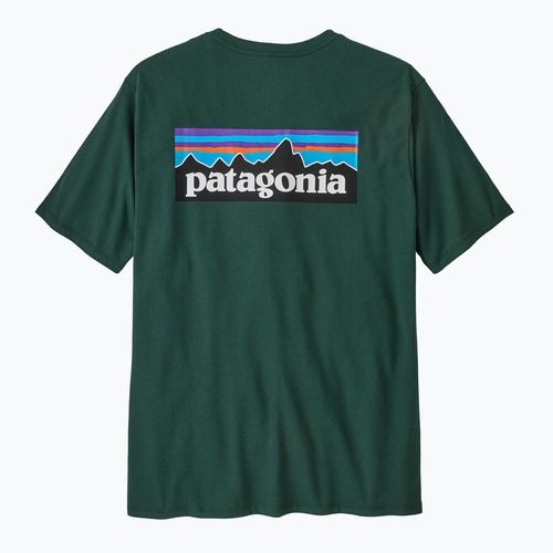 Футболка чоловіча Patagonia P-6 Logo Responsibili-Tee cascade green