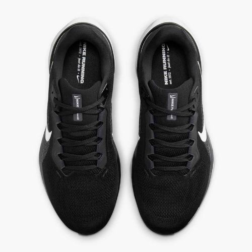 Кросівки для бігу чоловічі Nike Pegasus 41 black / white / anthracite
