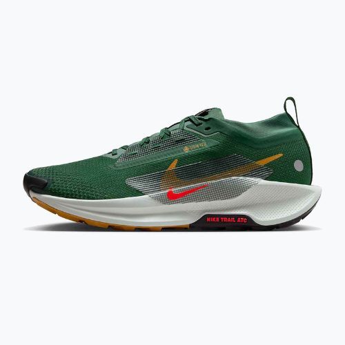 Кросівки для бігу чоловічі Nike Pegasus Trail 5 GORE-TEX fir/bright crimson/clay green