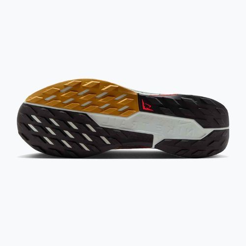 Кросівки для бігу чоловічі Nike Pegasus Trail 5 GORE-TEX fir/bright crimson/clay green