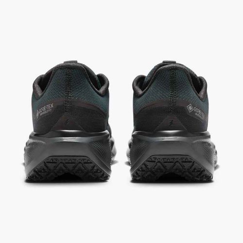 Чоловічі бігові кросівки Nike Pegasus 41 GTX black/anthracite/black