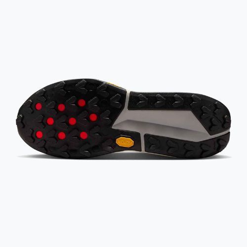 Кросівки для бігу чоловічі Nike Zegama 2 fir/desert ochre/college grey/sail