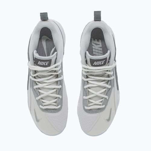 Кросівки волейбольні Nike Hyperset 2 SE smmit white/metalic silver/pure platinum